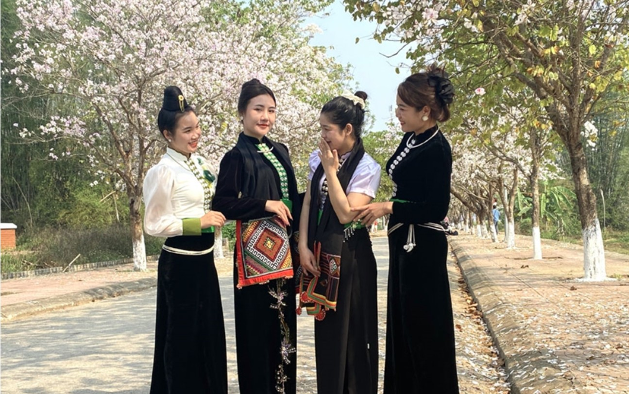 Điện Biên: Lễ hội hoa ban năm 2026 hứa hẹn nhiều trải nghiệm hấp dẫn

​